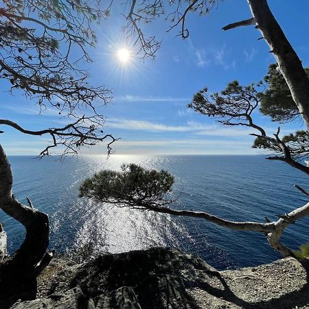 Appartement En Residence Privee, Face A La Mer Avec Acces Direct Plage Hyères Exteriör bild