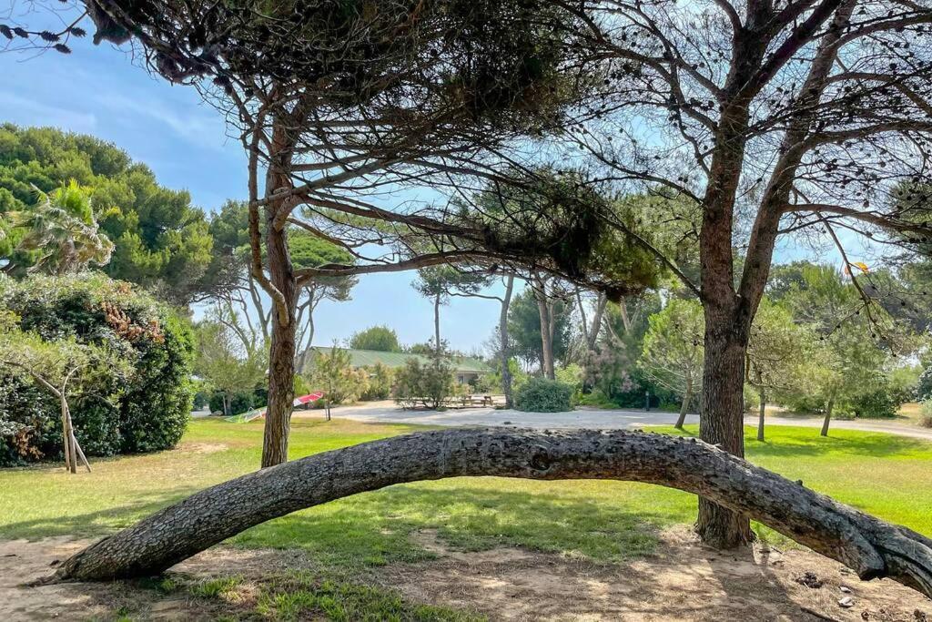 Appartement En Residence Privee, Face A La Mer Avec Acces Direct Plage Hyères Exteriör bild