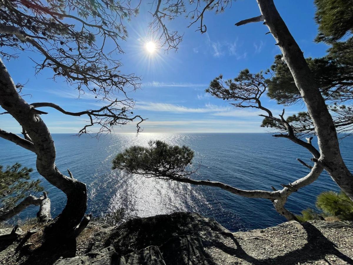 Appartement En Residence Privee, Face A La Mer Avec Acces Direct Plage Hyères Exteriör bild